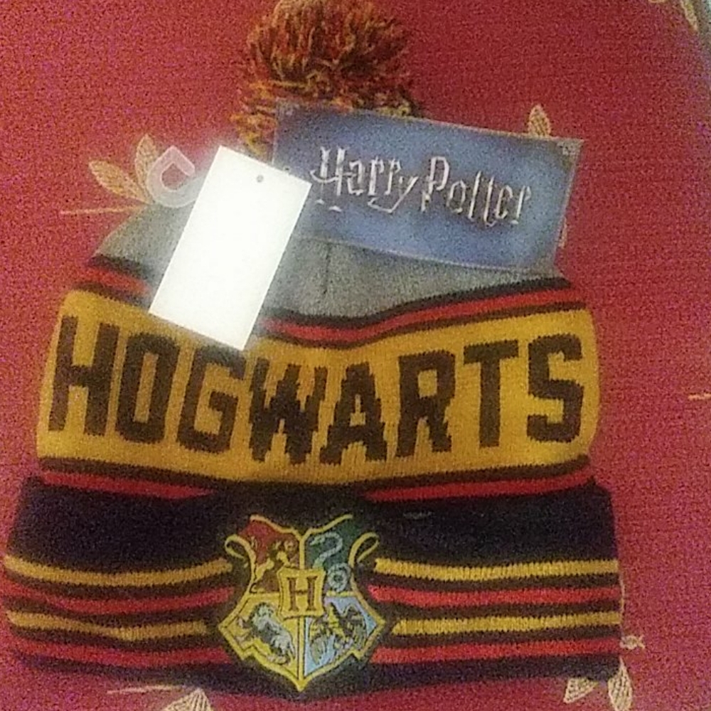 Harry Potter Hogwarts beanie